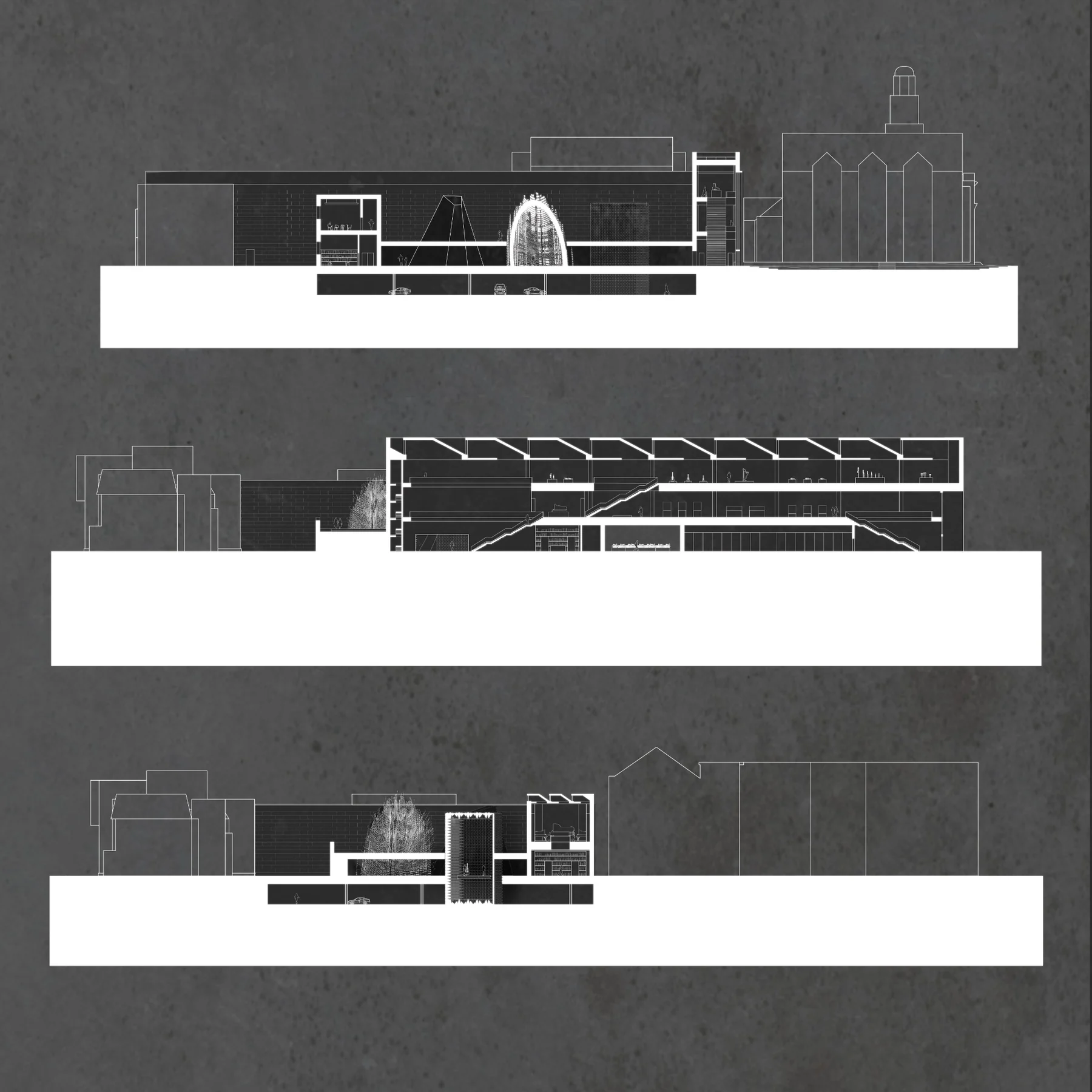 Architectural section studies for Forma Udibile
